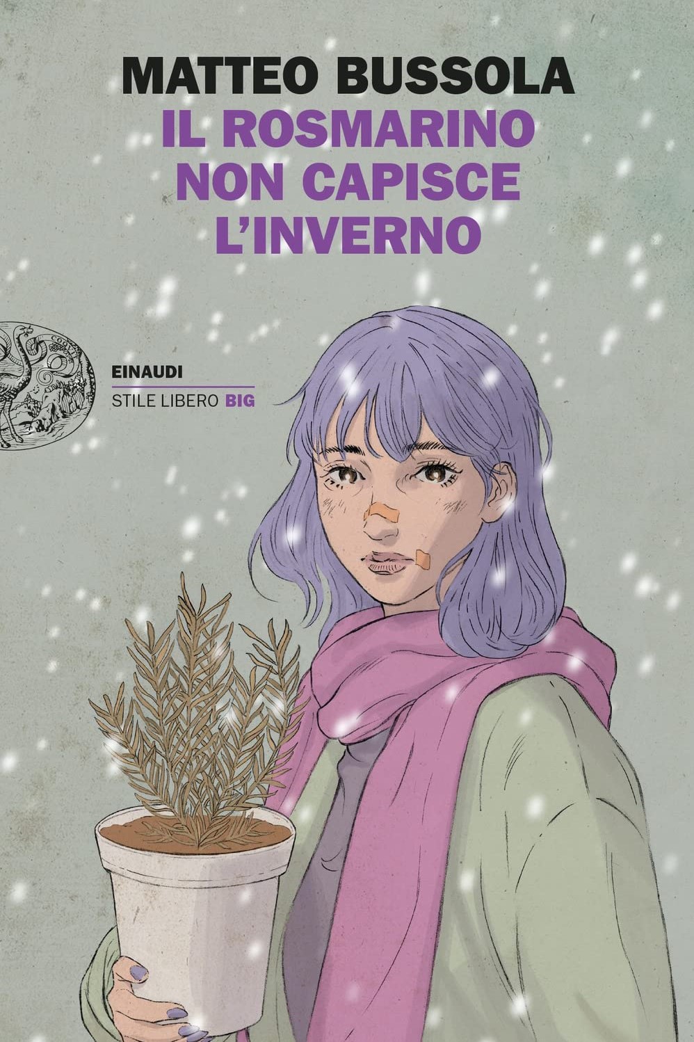 IL ROSMARINO NON CAPISCE L'INVERNO - MATTEO BUSSOLA
